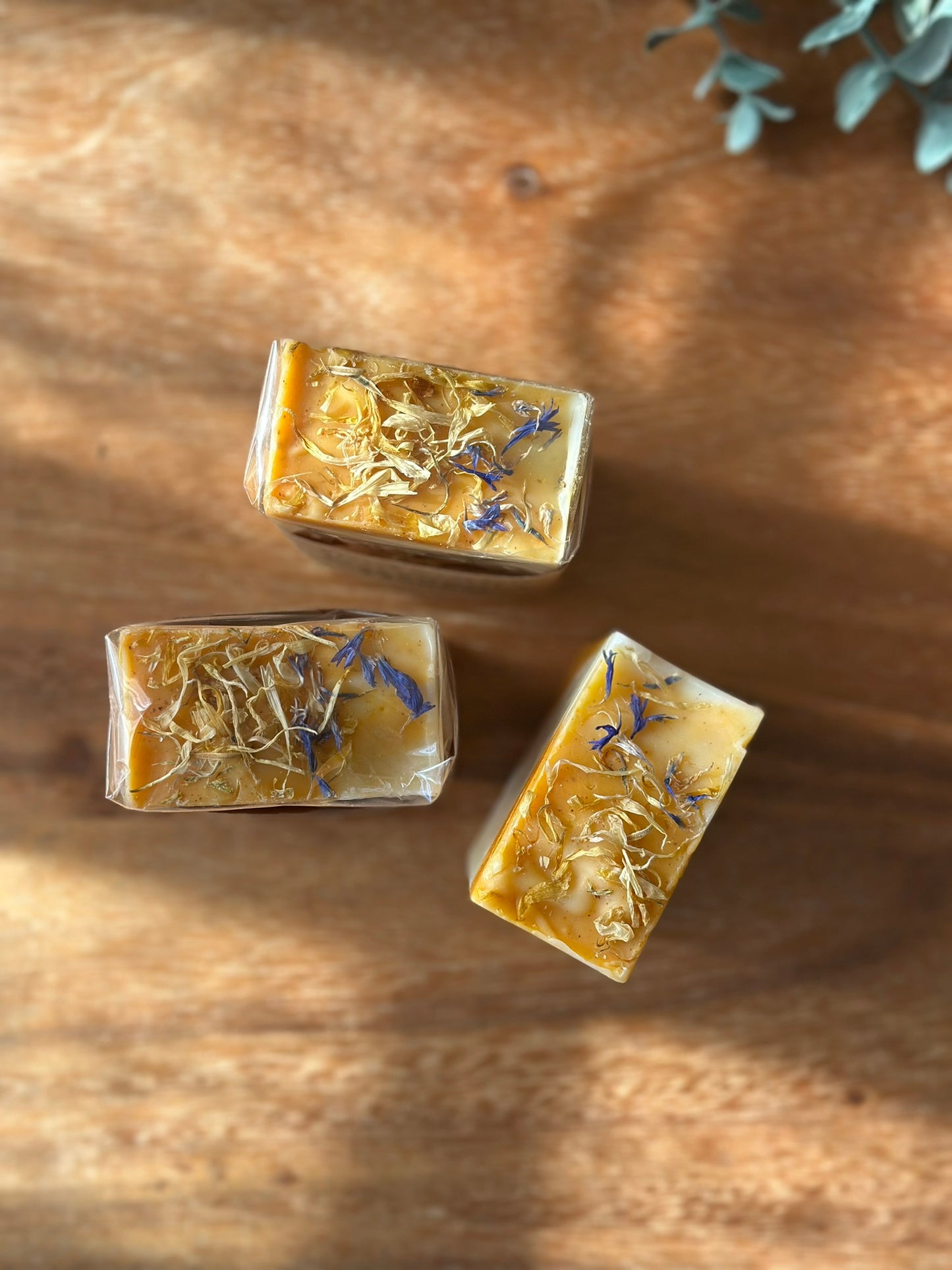 Calendula Herbal