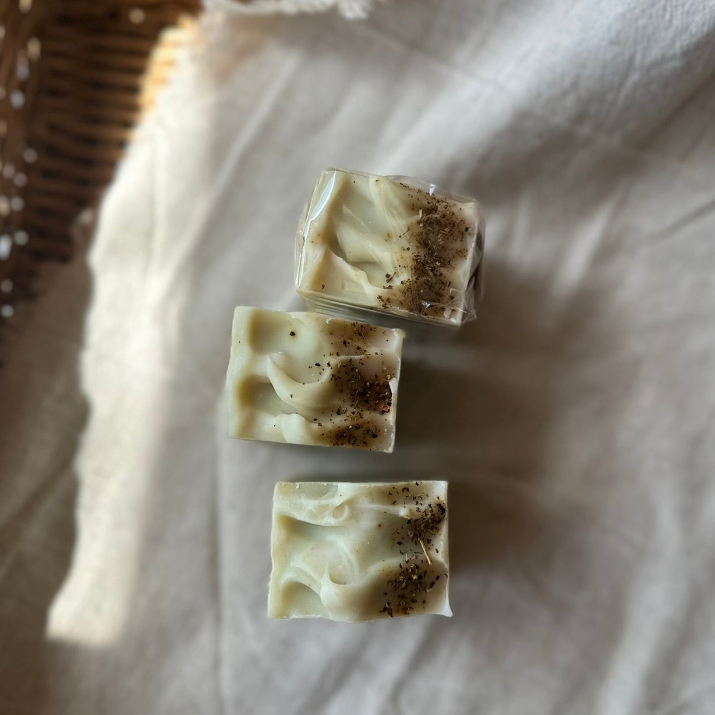 Soothing Aloe Leaf