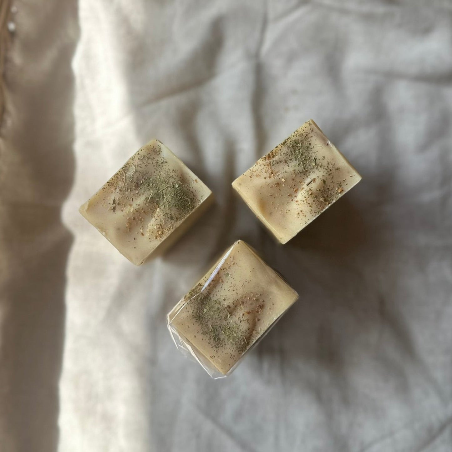 Lemon Myrtle